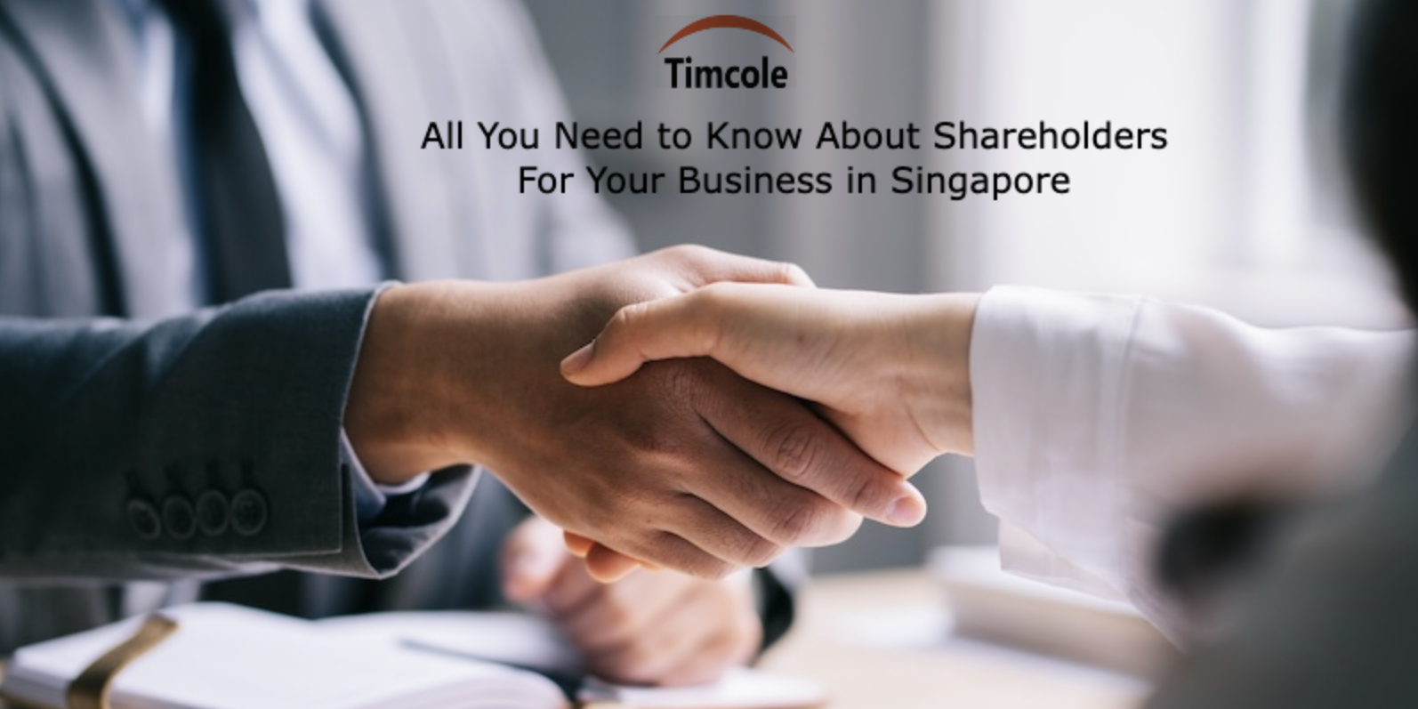 All You Need to Know About Shareholders For Your Business in Singapore Shareholders